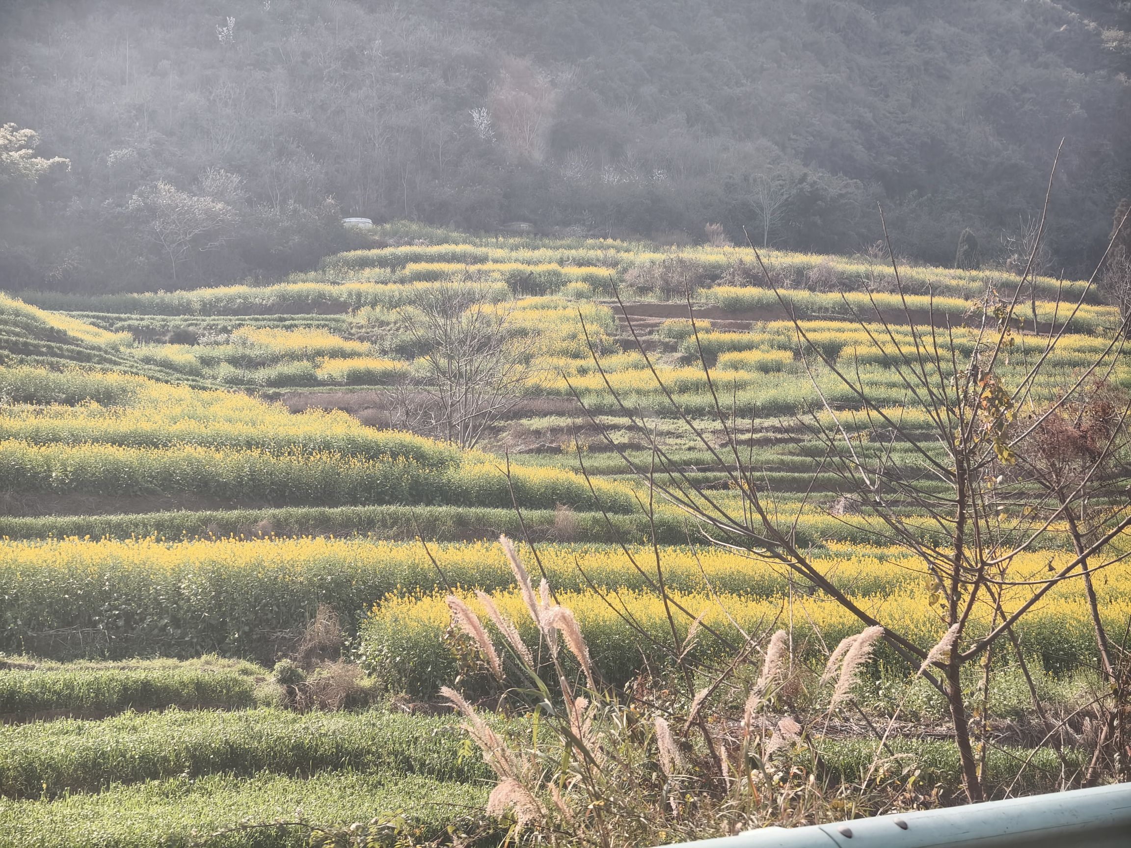 河万村万峰顶旅行图片 1