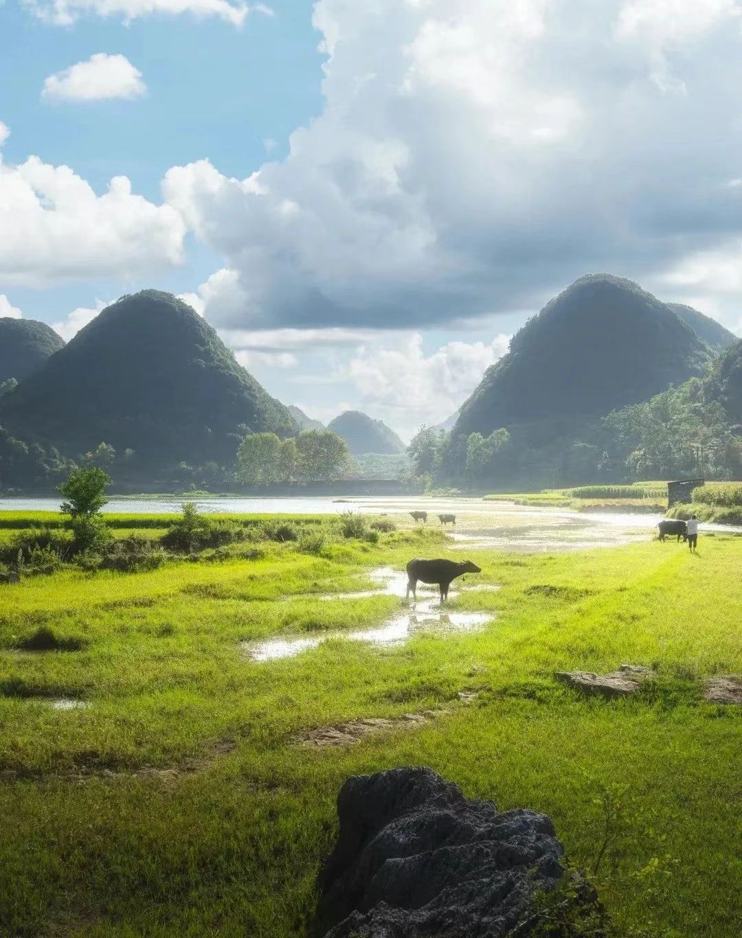 河万村万峰顶旅行图片 1