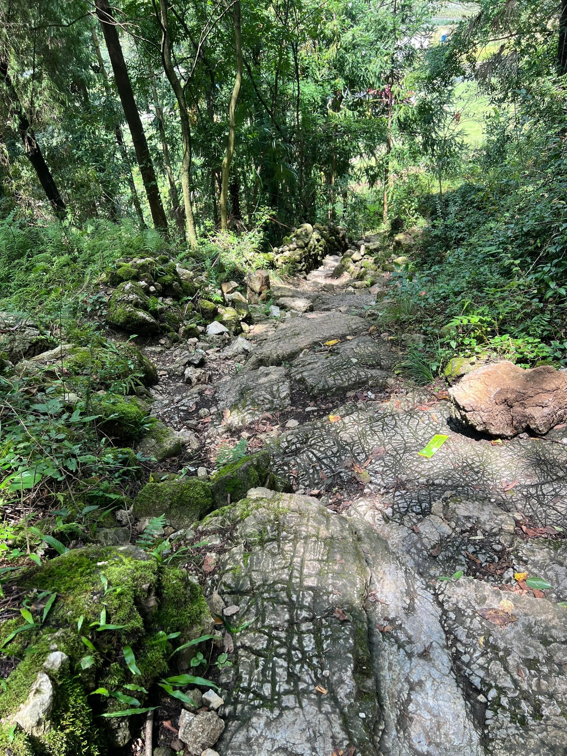 河万村万峰顶旅行图片 3
