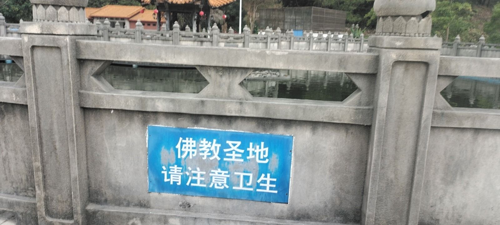 海会寺放生池旅行图片 2