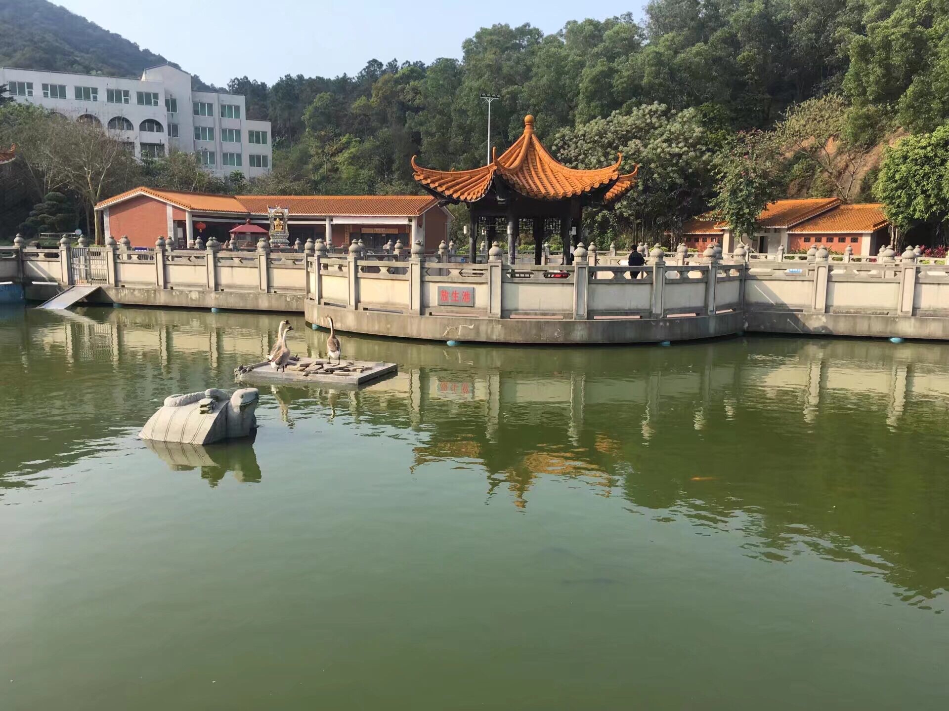 海会寺放生池旅行图片 3
