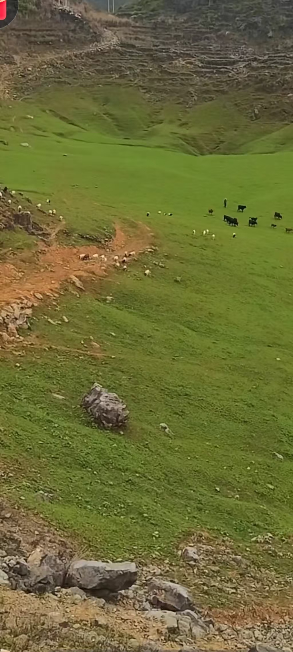 东孟天坑群旅行图片 2