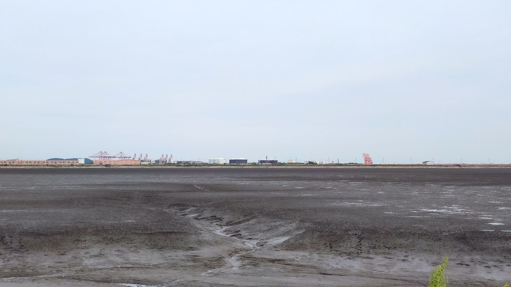 大东沟观鸟园众愿道场旅行图片 2