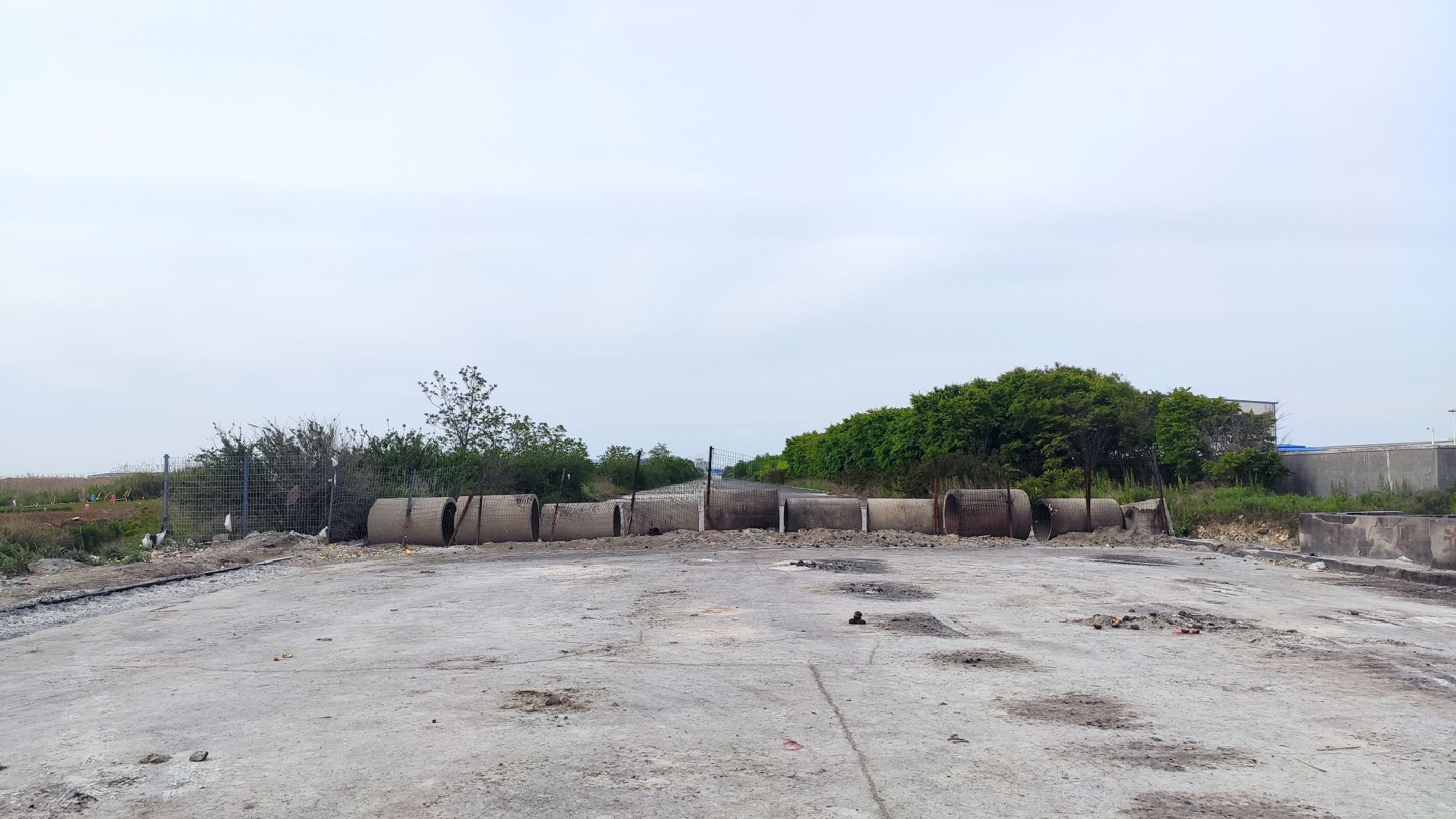 大东沟观鸟园众愿道场旅行图片 1