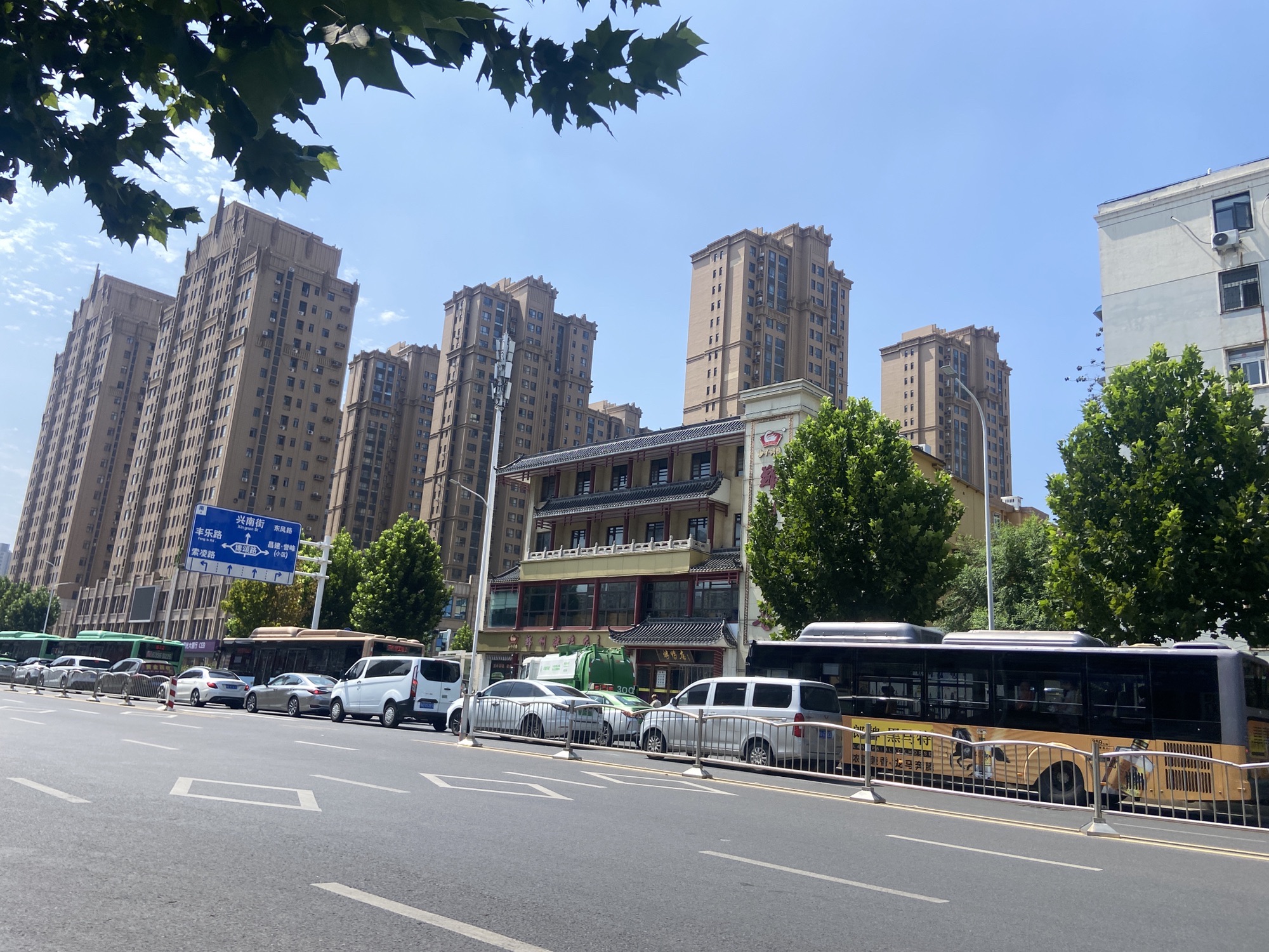 商中宗陵旅行图片 1
