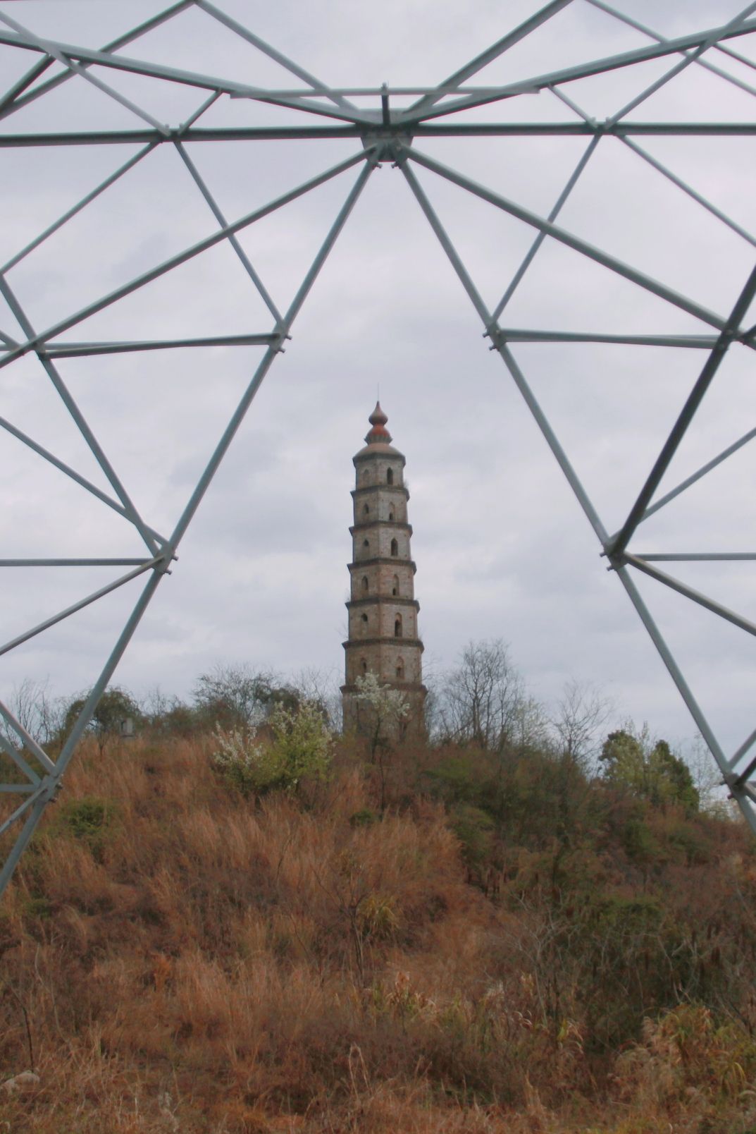 龙凤塔旅行图片 2