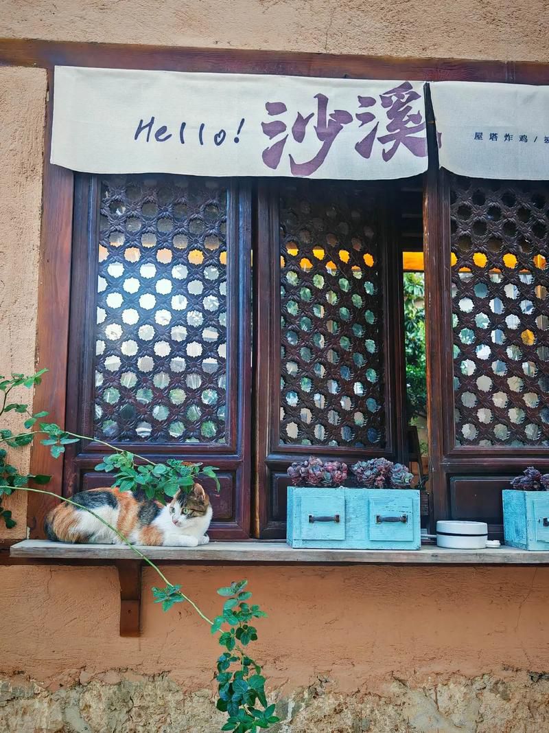沙溪老街旅行图片 3