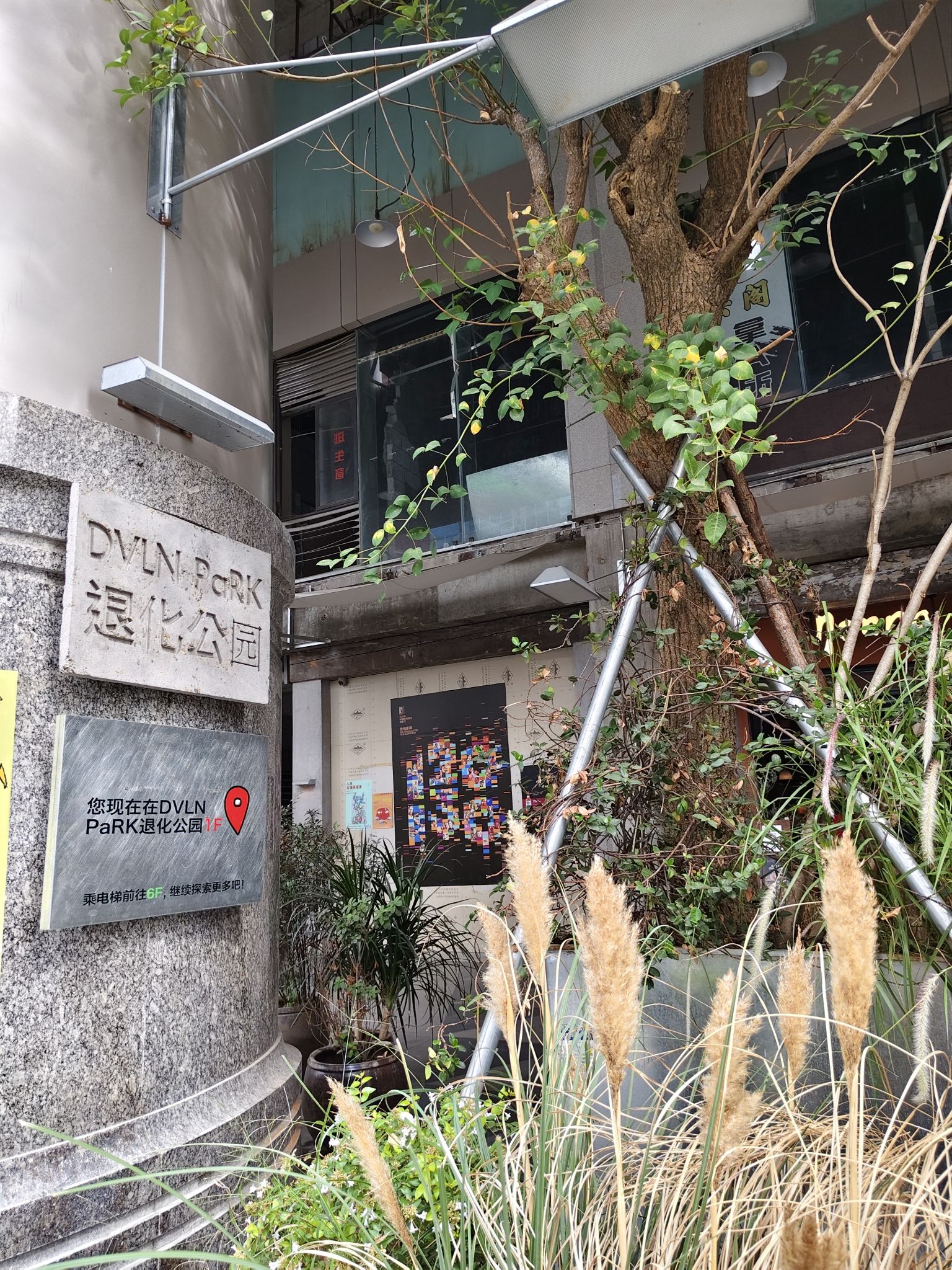 DVLN PaRK退化公园 · Xiamen
