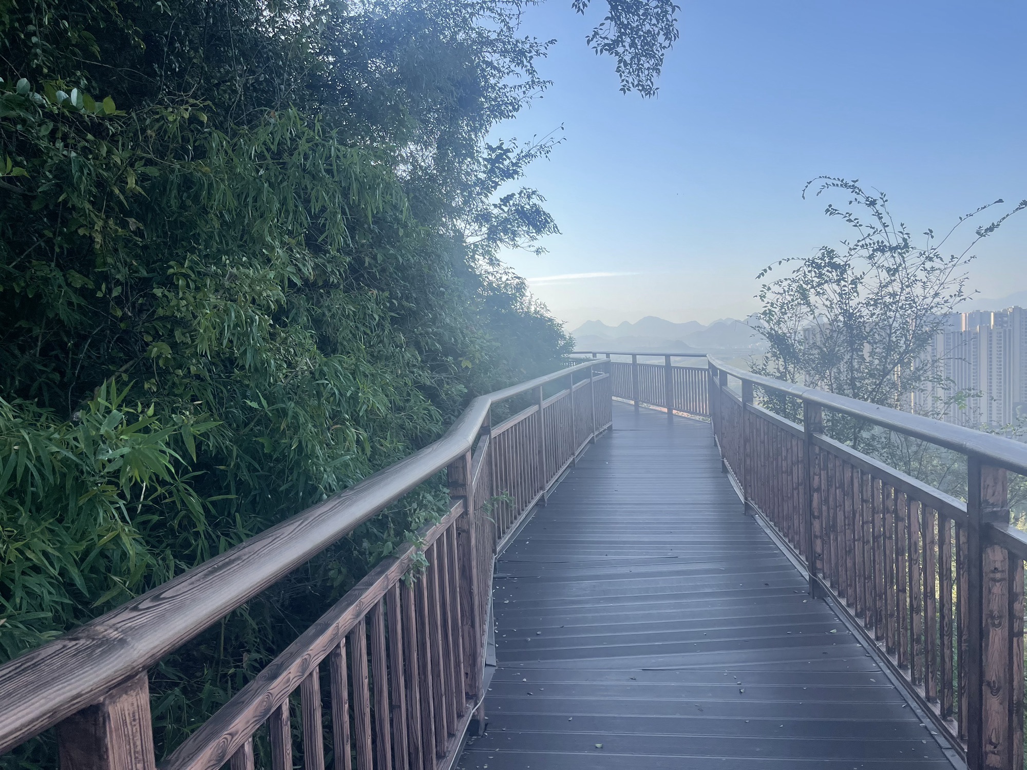 印山公园旅行图片 1
