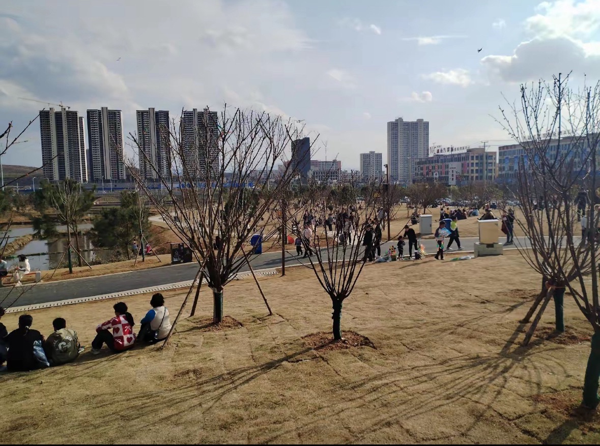 印山公园旅行图片 2
