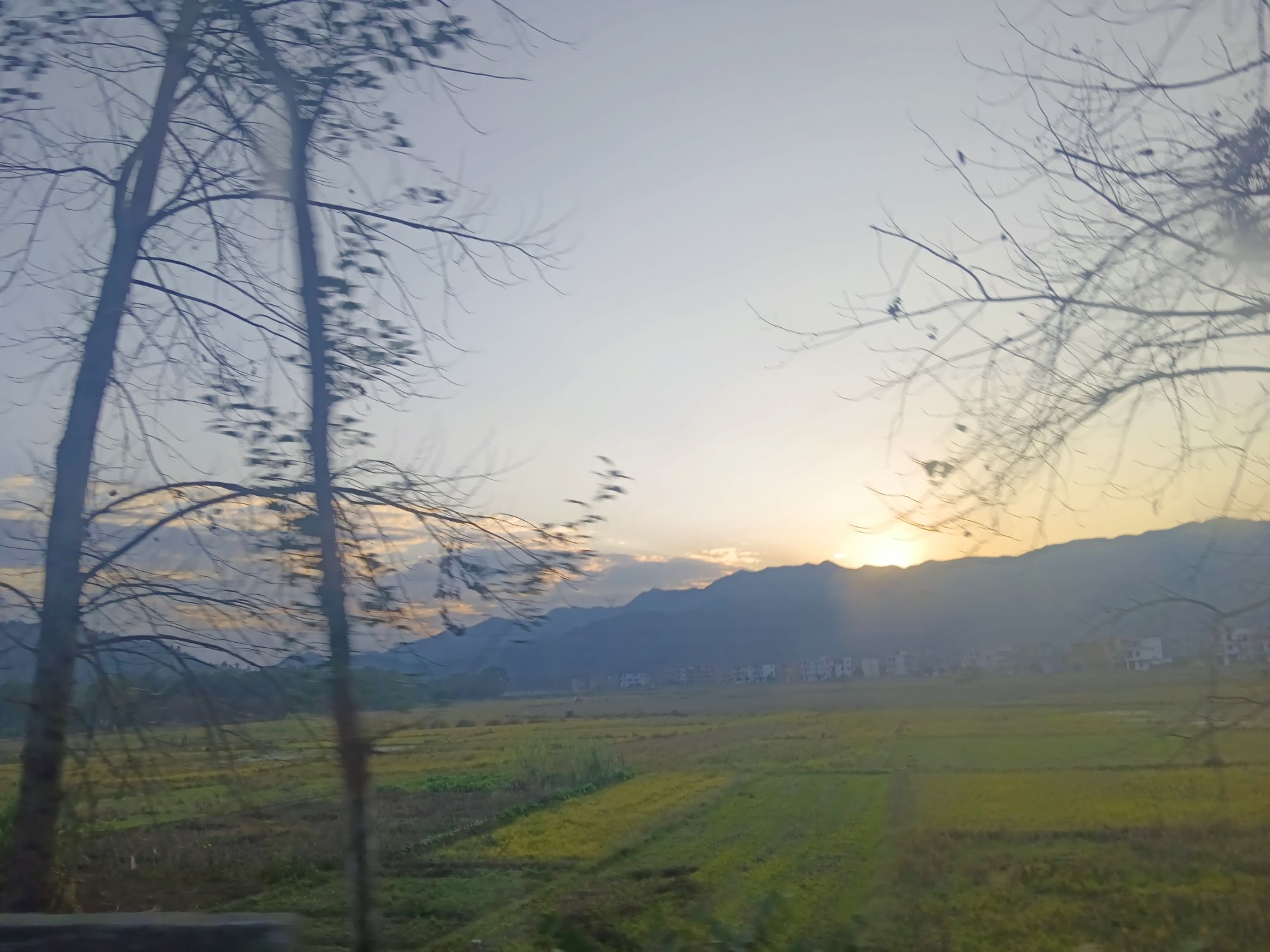 印山公园旅行图片 1