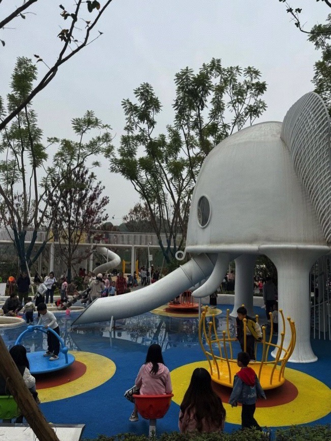 罗滩河公园旅行图片 1