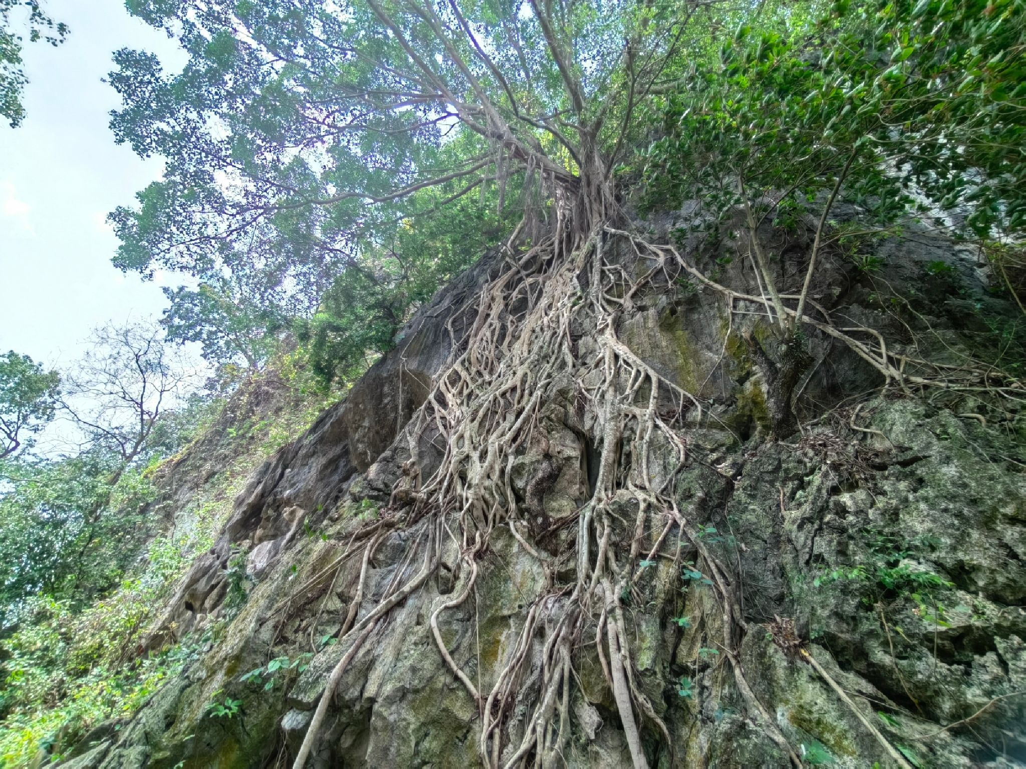 石望灵石公园旅行图片 3