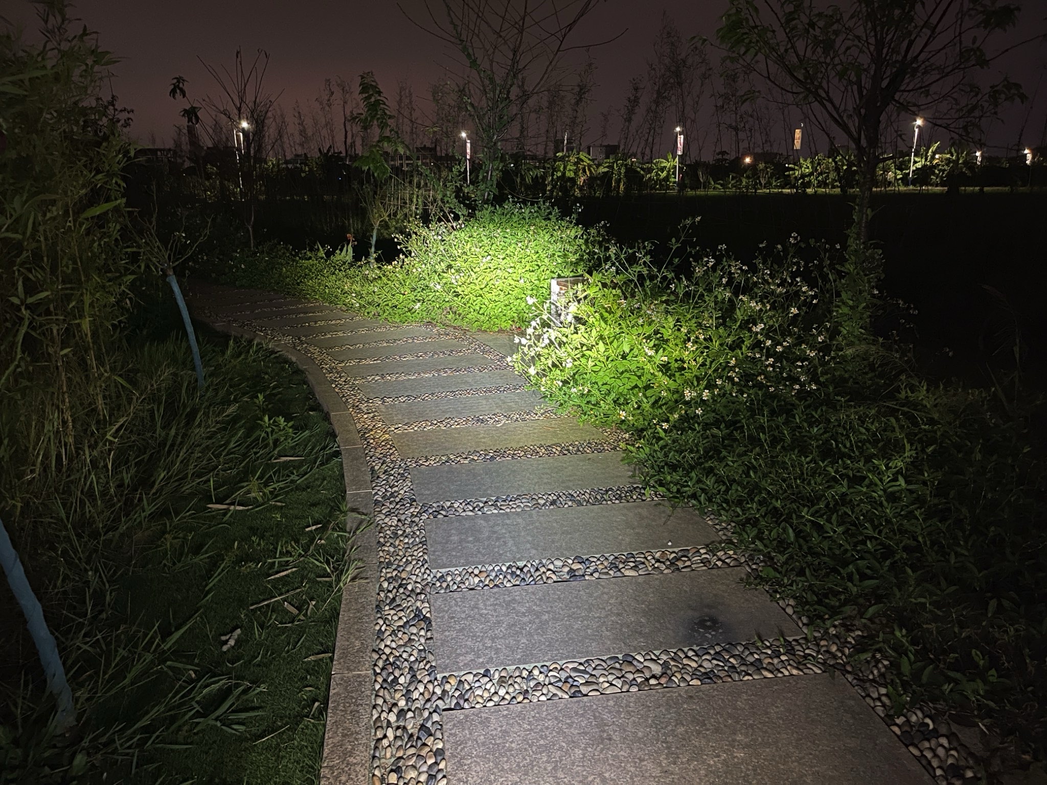 稻香塔旅行图片 1