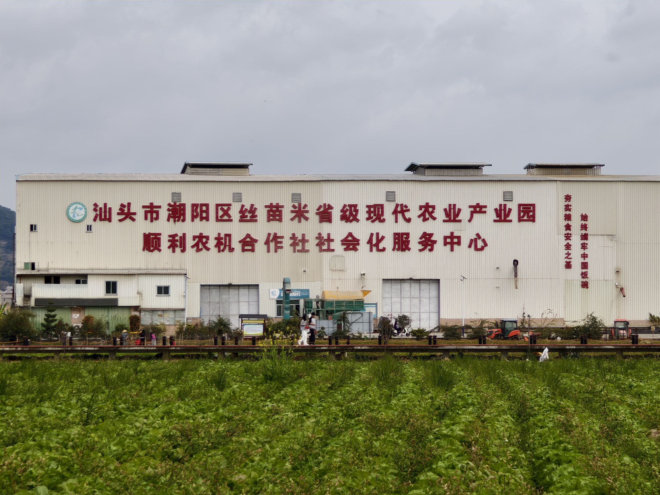 稻香塔旅行图片 1