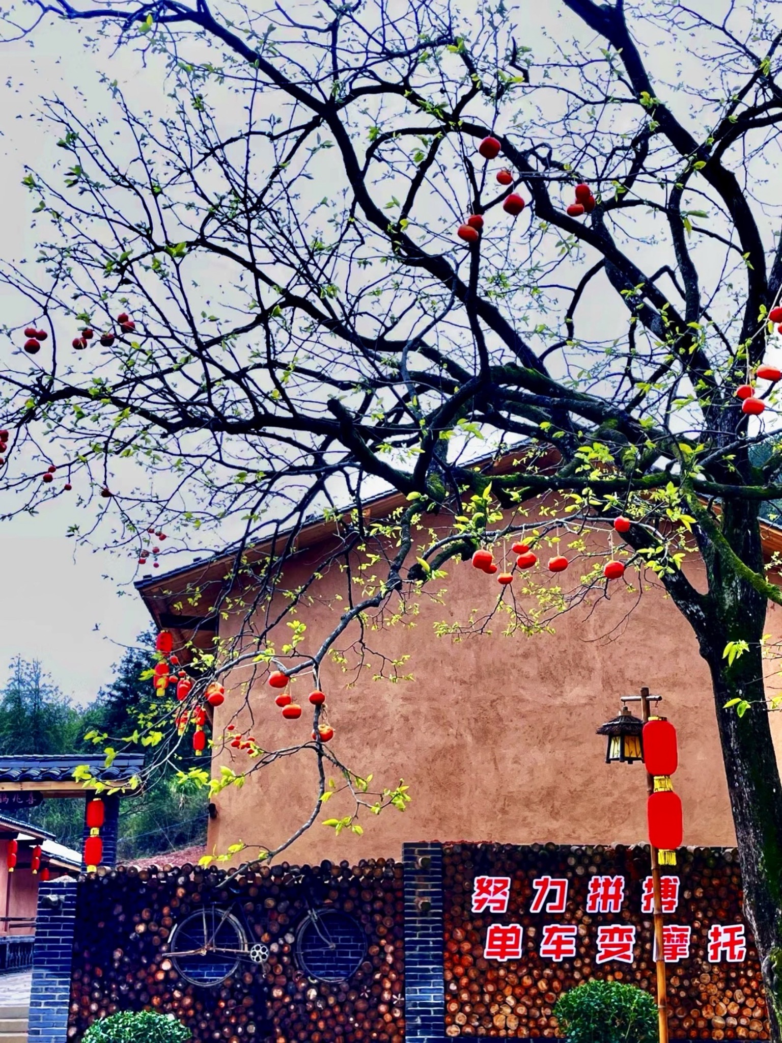 金鹊谷旅行图片 3