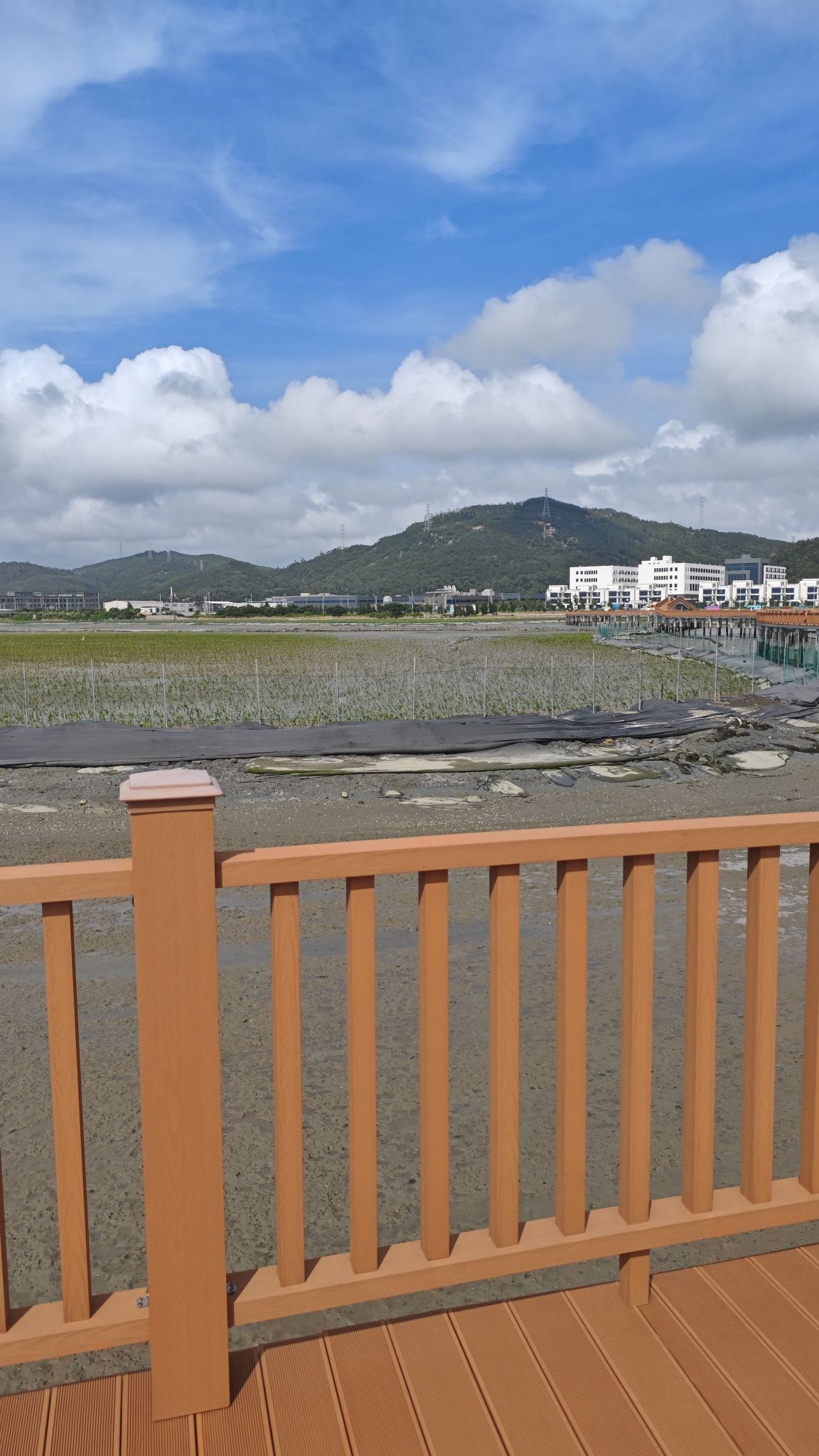 埔头村红杉林木栈道旅行图片 3