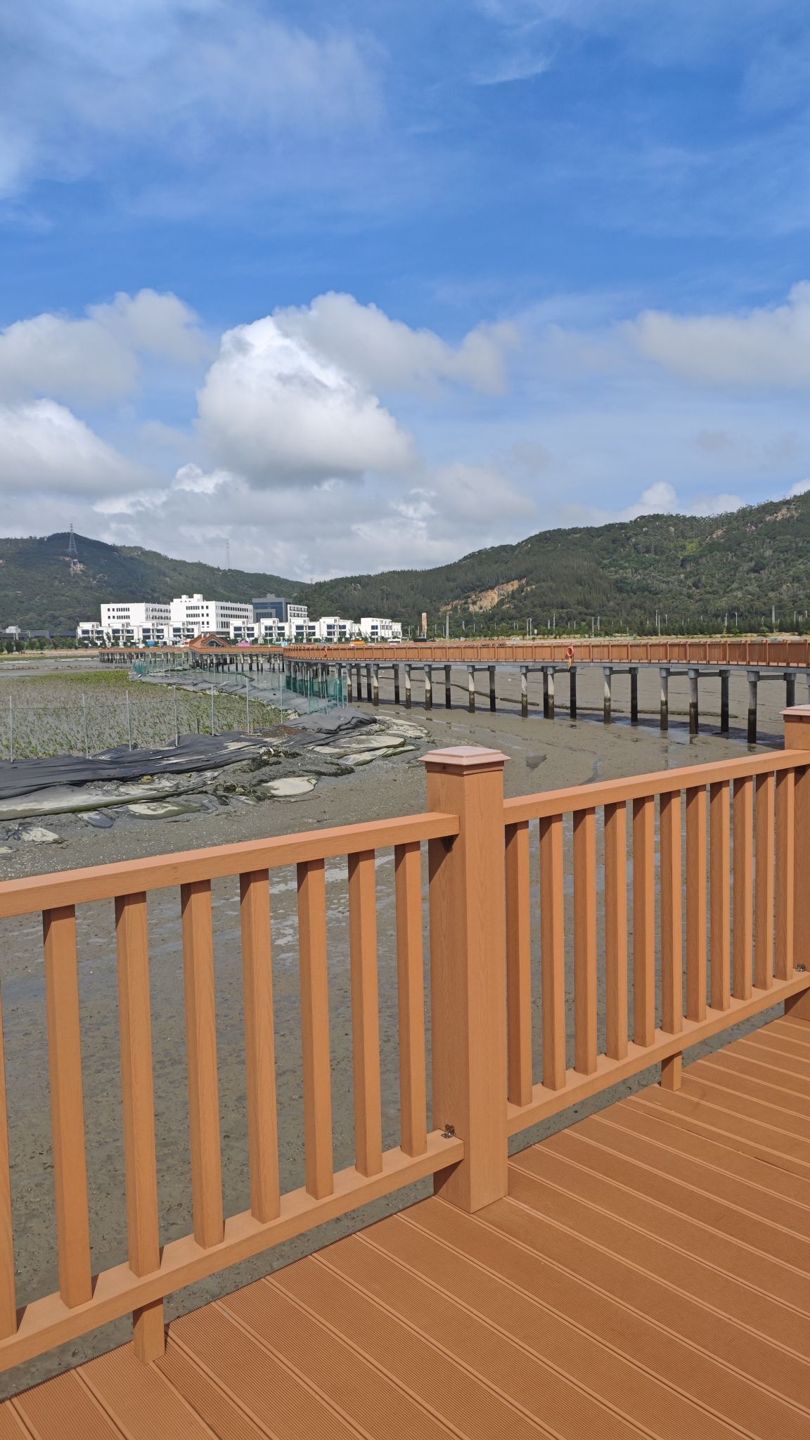 埔头村红杉林木栈道旅行图片 2