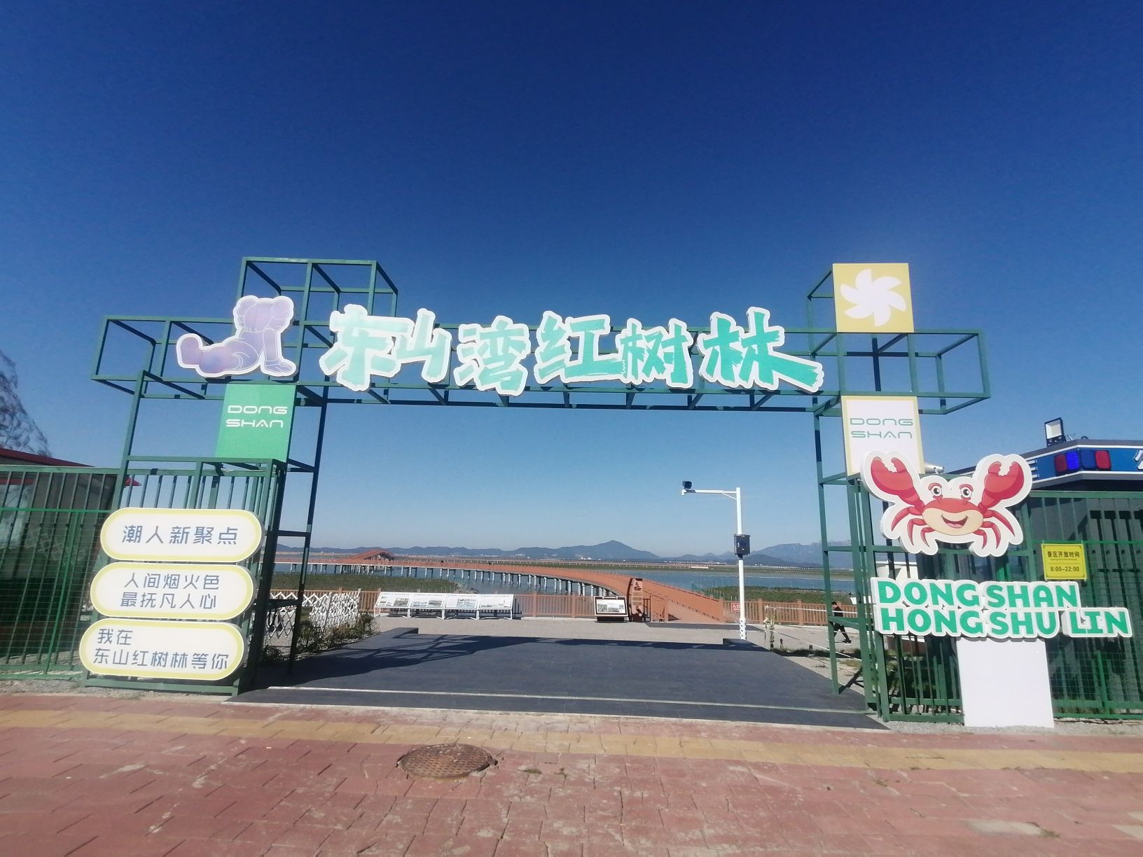 埔头村红杉林木栈道旅行图片 1