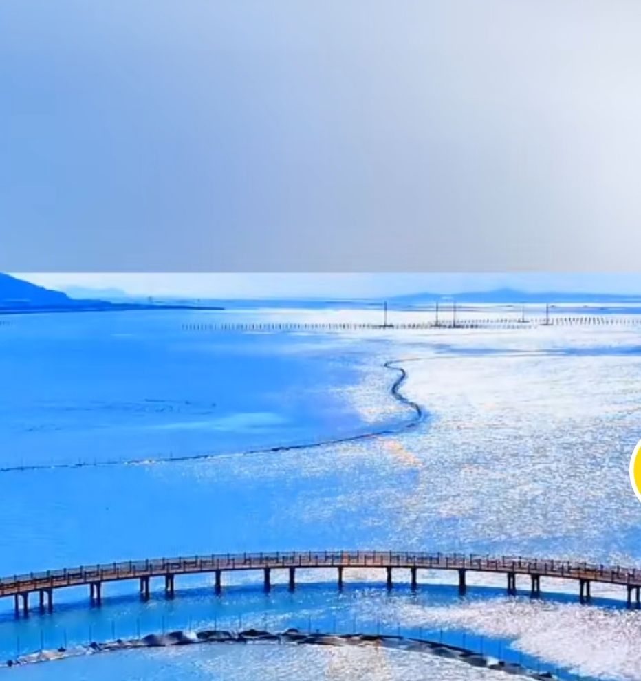 埔头村红杉林木栈道旅行图片 1