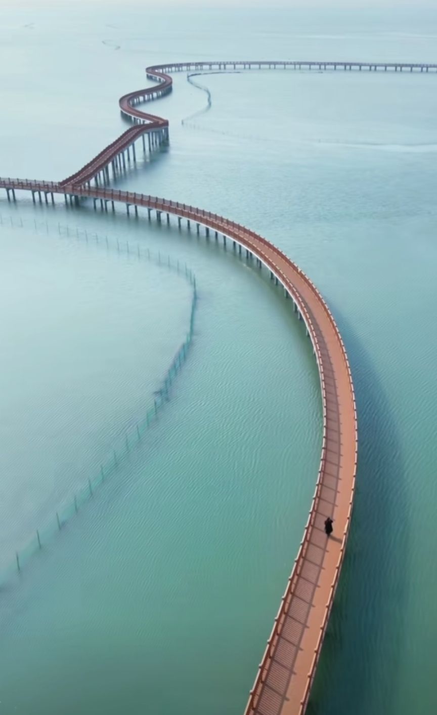埔头村红杉林木栈道旅行图片 2