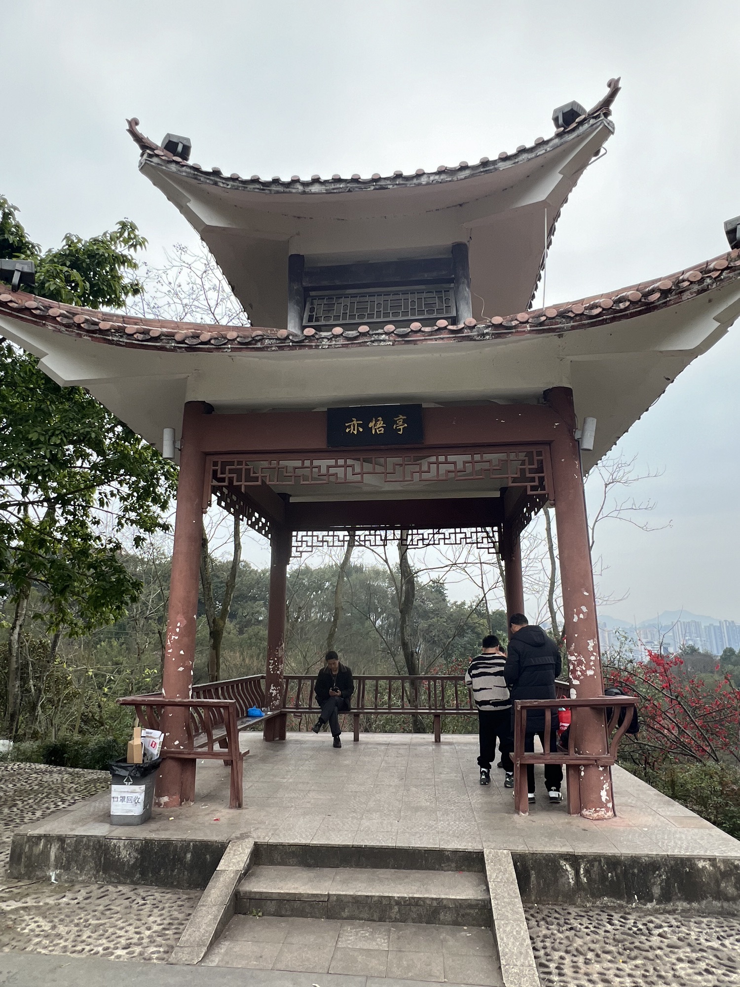 亦悟亭旅行图片 1