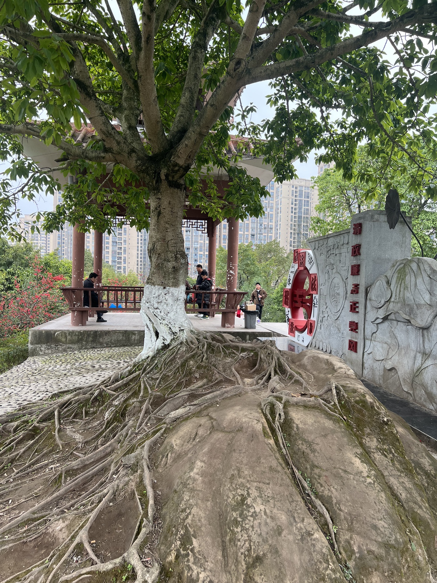 亦悟亭旅行图片 2