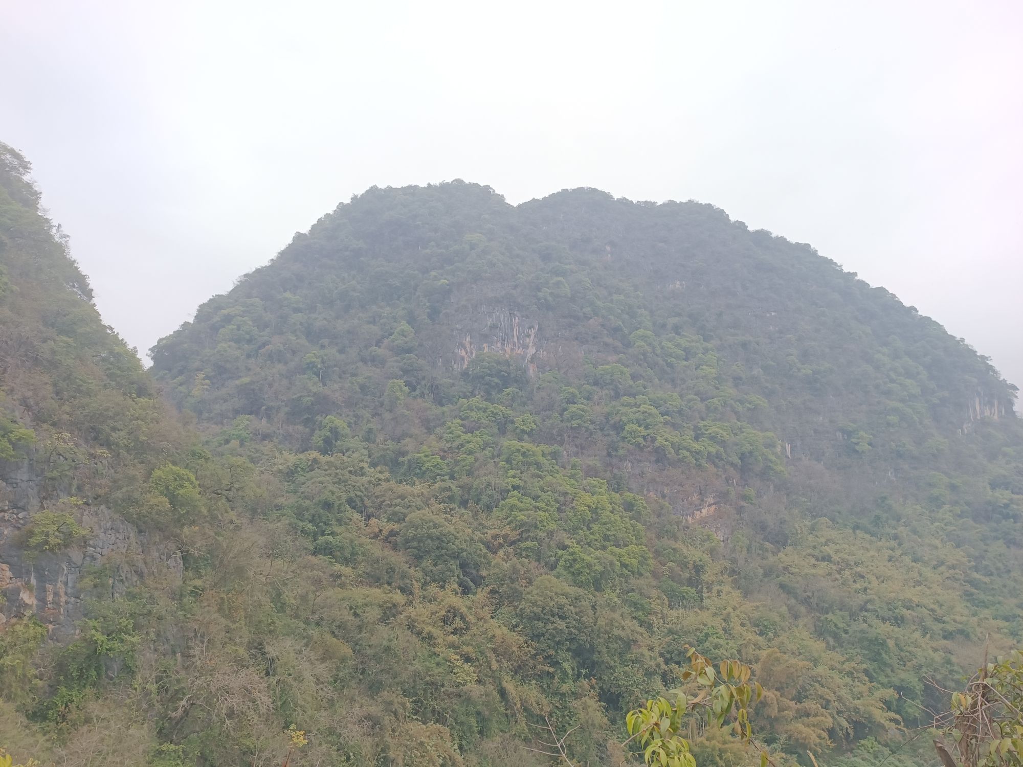 平安亭旅行图片 2