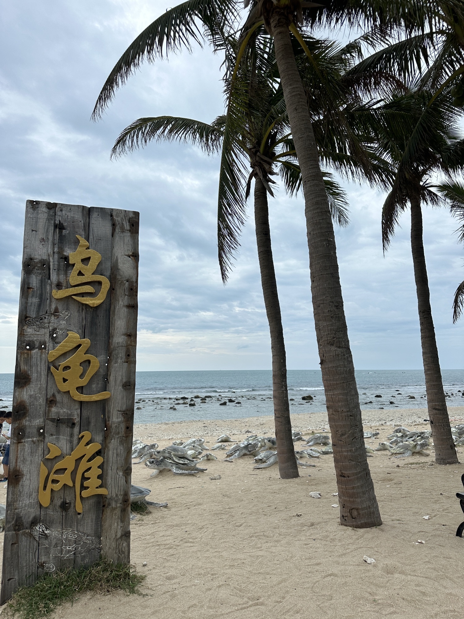 西岛乌龟滩