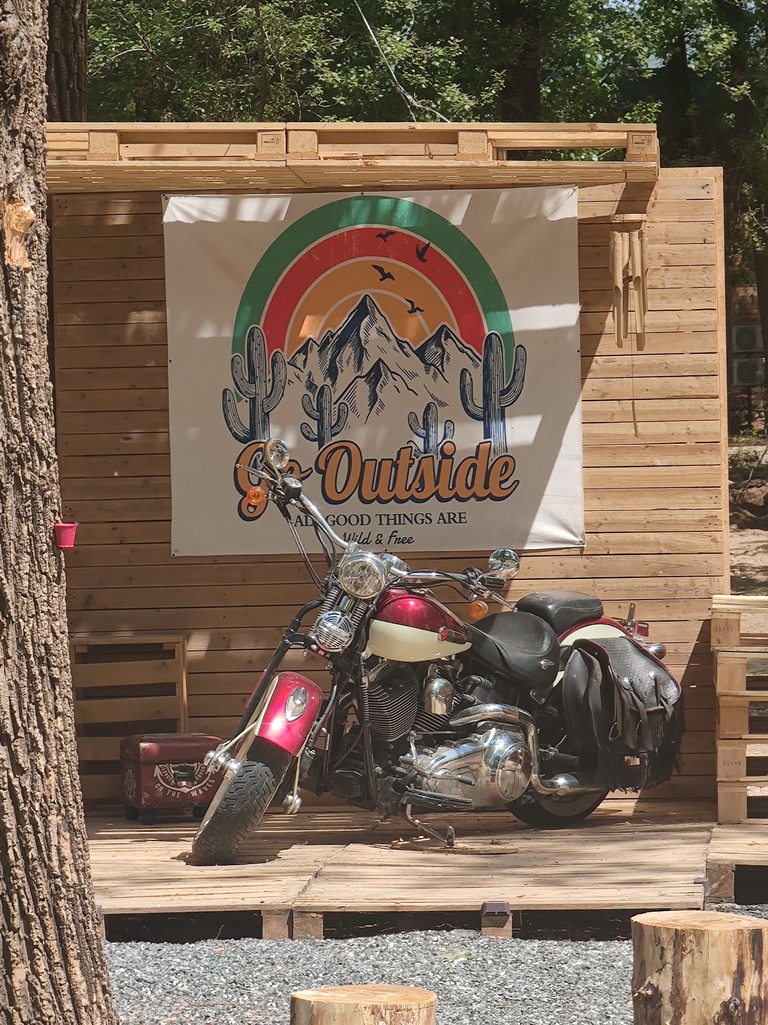 场地封面-顽聚营地