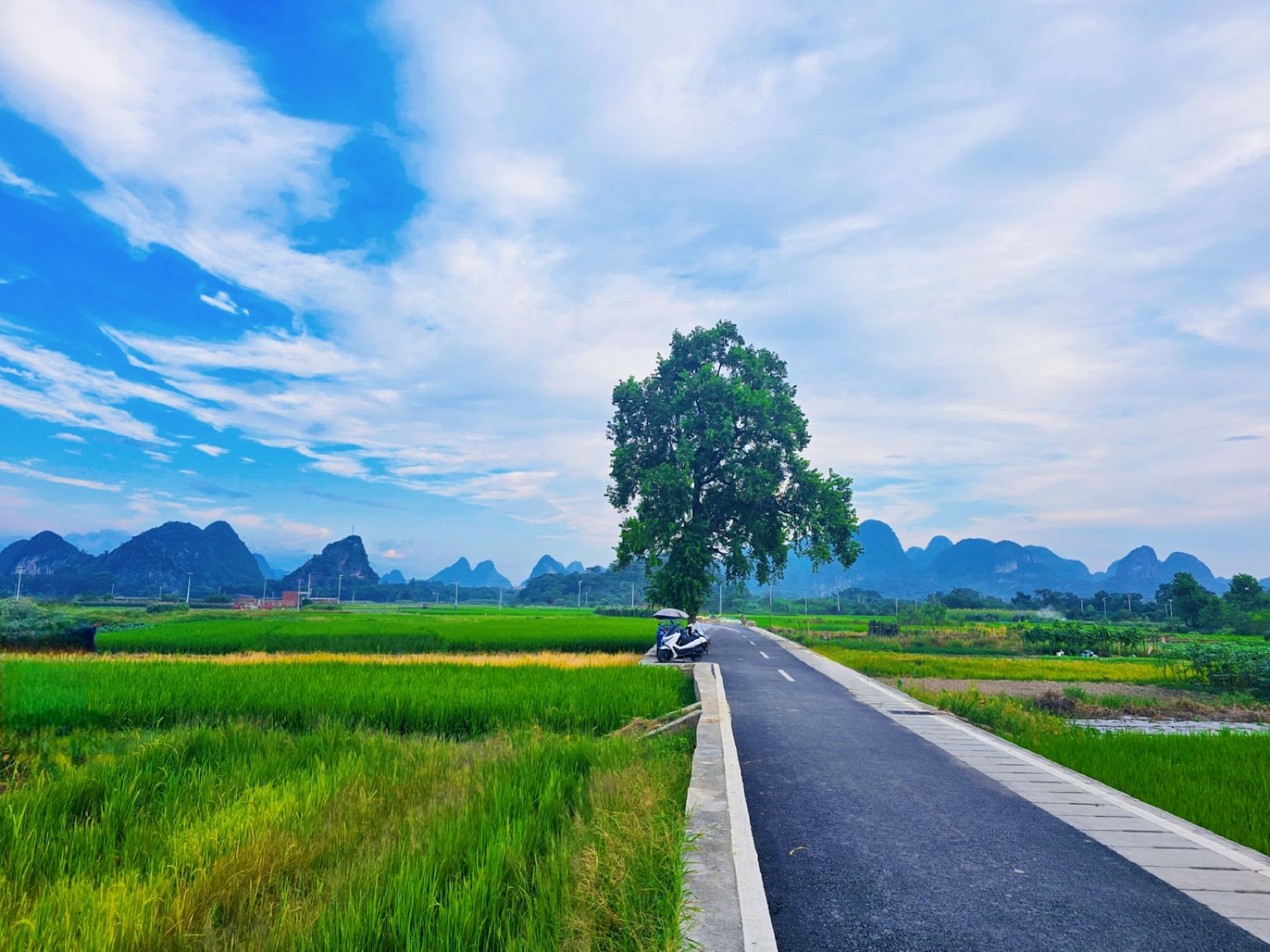 柘漓·树先生旅行图片 1