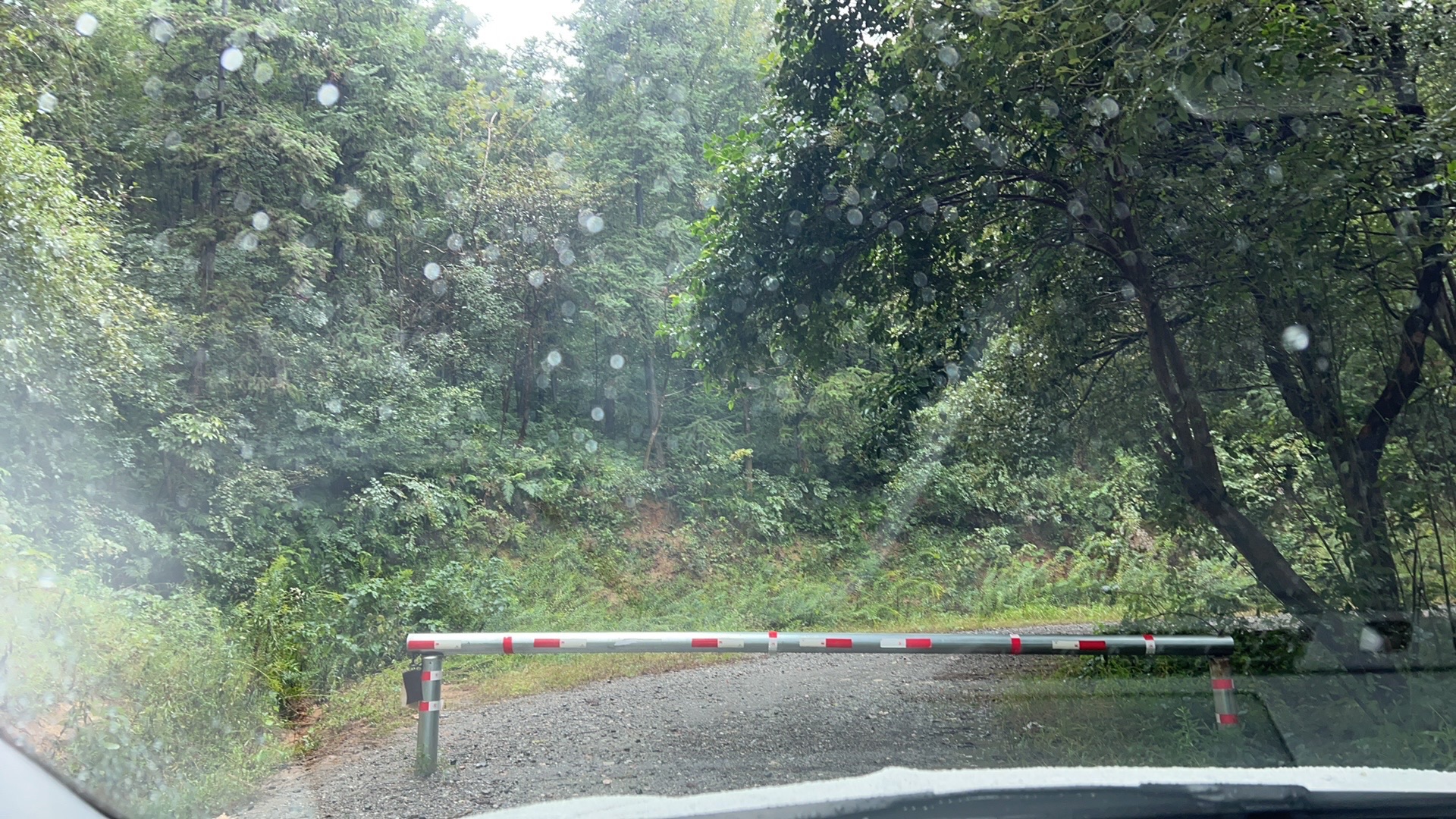 雾凇桥旅行图片 2
