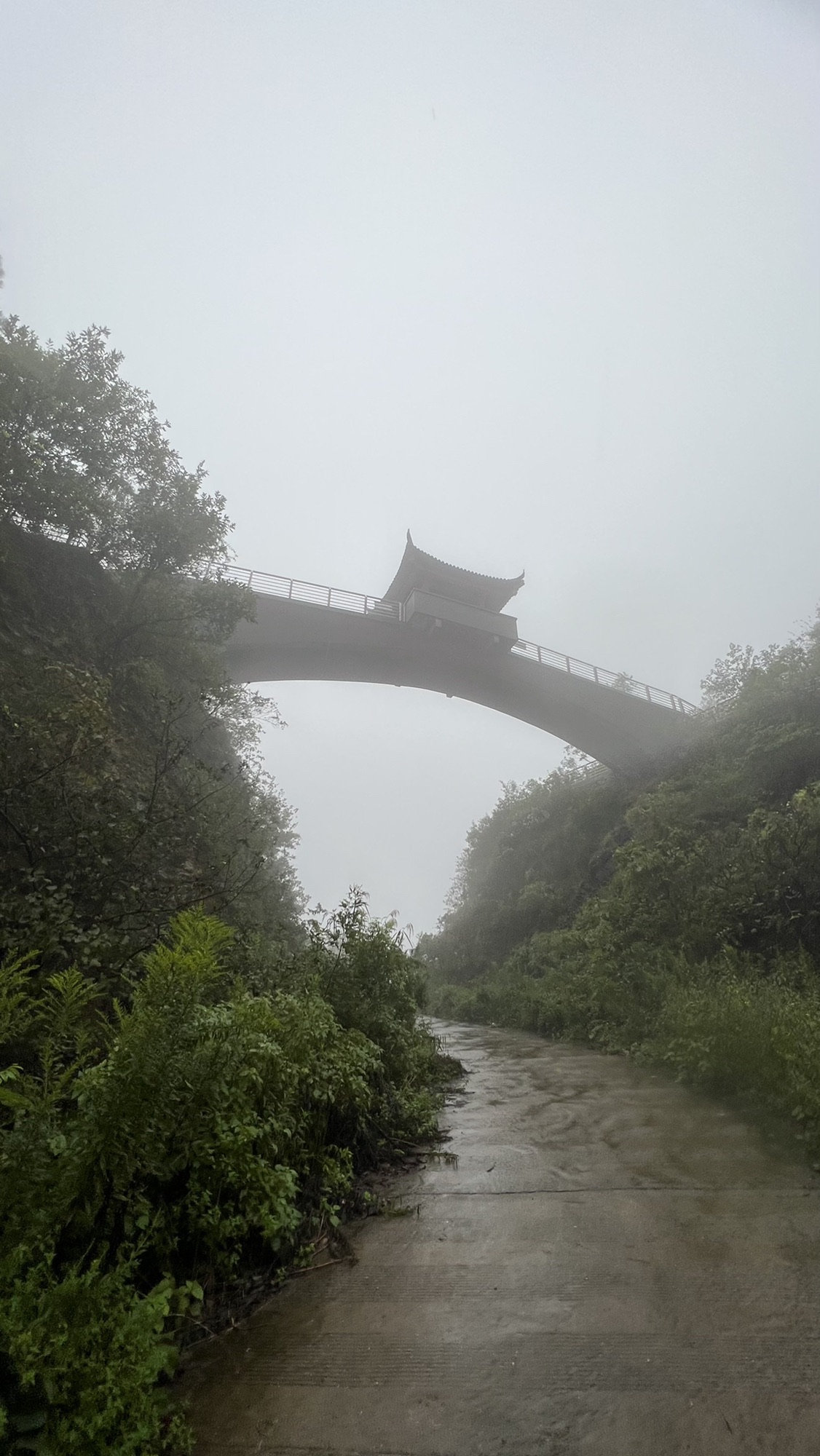雾凇桥旅行图片