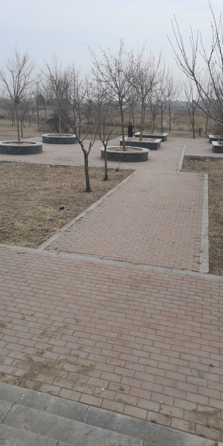 解家庄汪塘公园旅行图片 1
