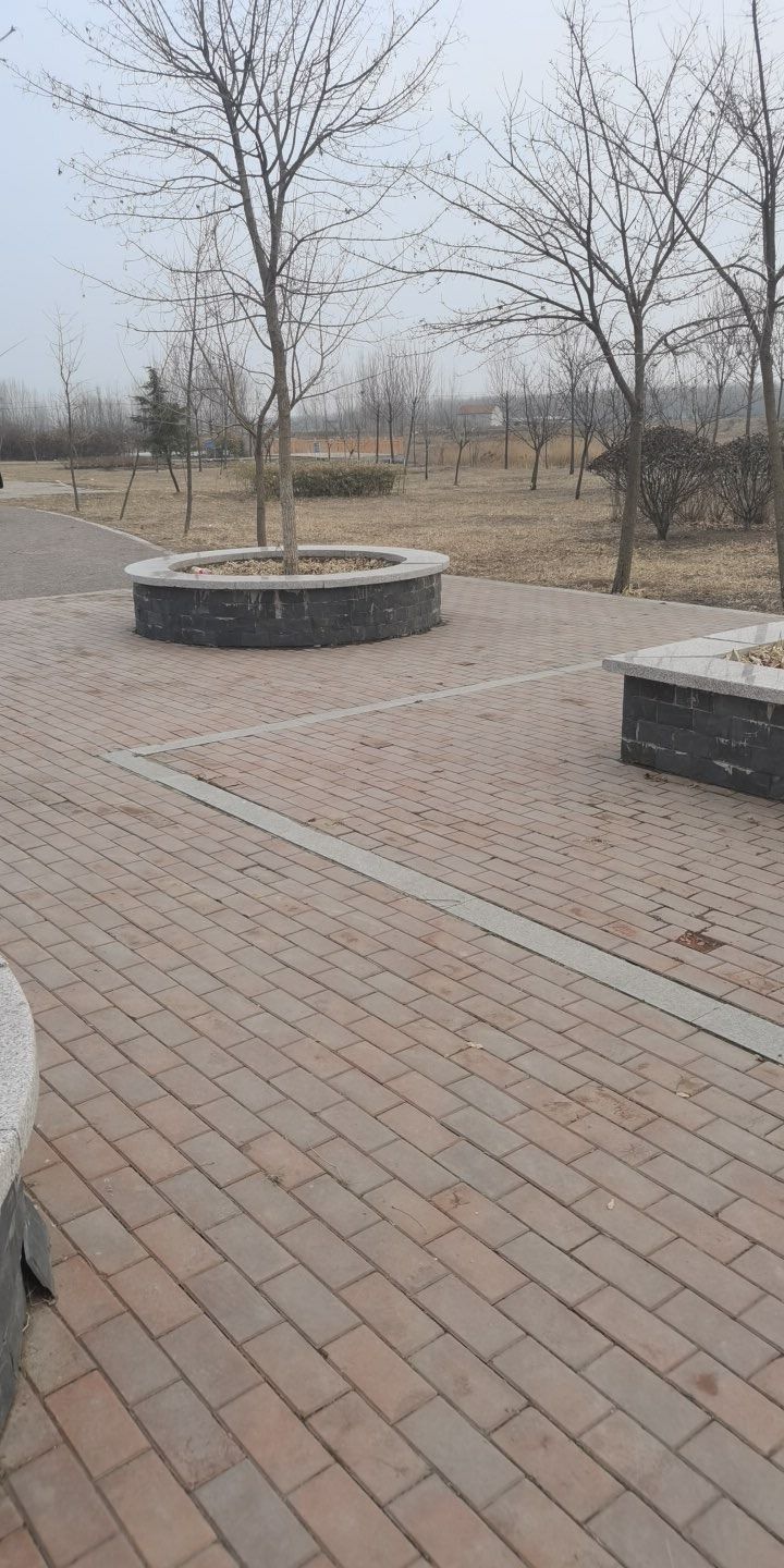 解家庄汪塘公园旅行图片 2