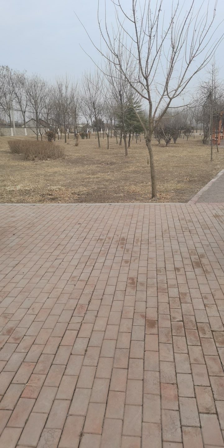 解家庄汪塘公园旅行图片 3