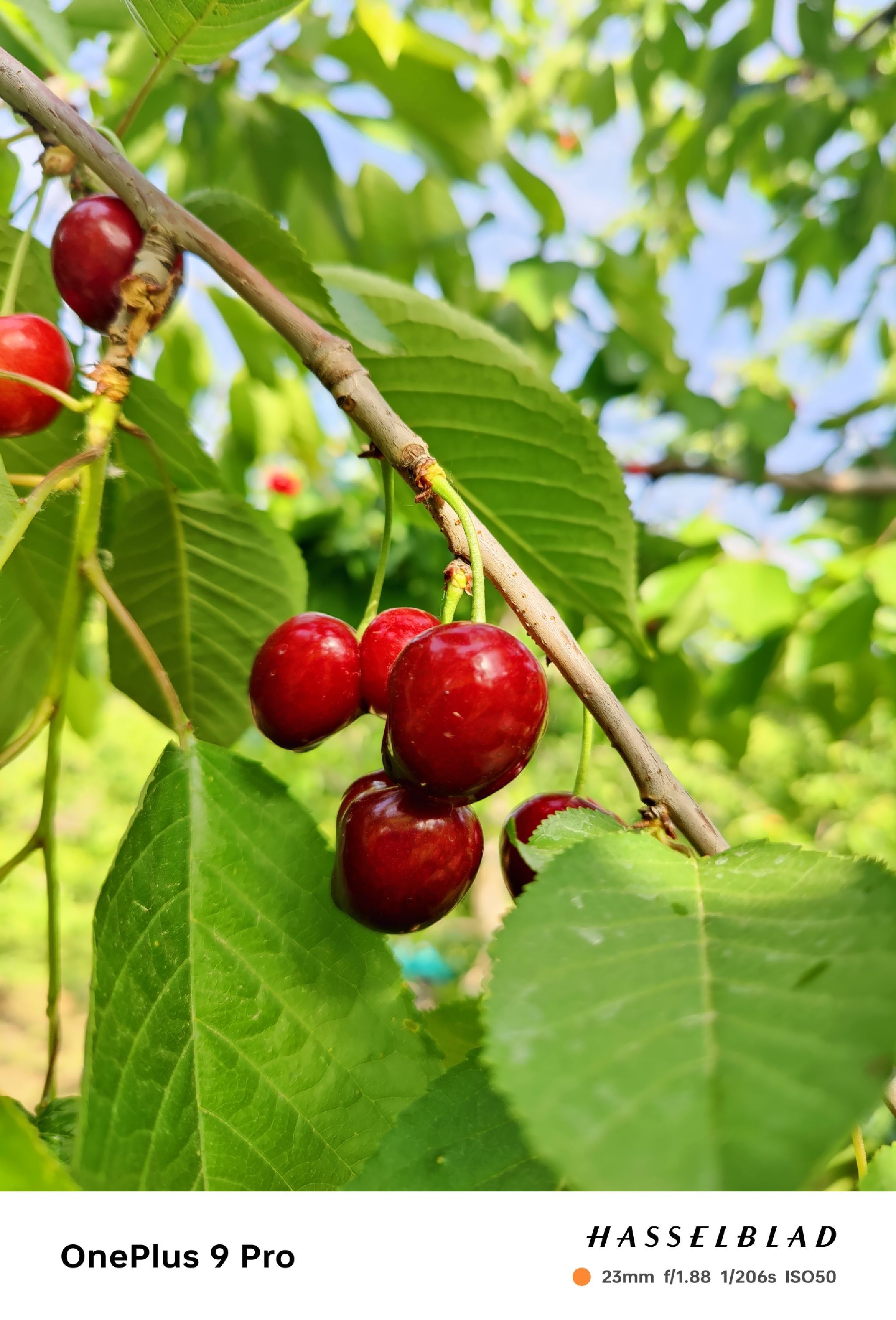 场地封面-合欣慧生态园