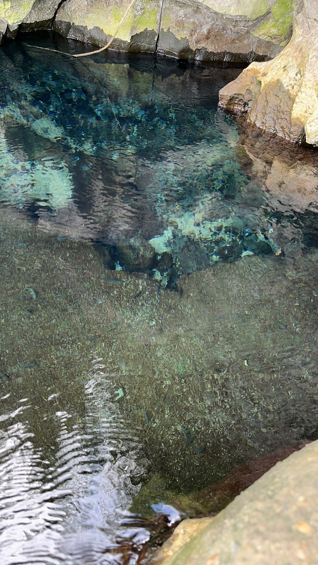 武鸣伏何屯泉眼旅行图片 1