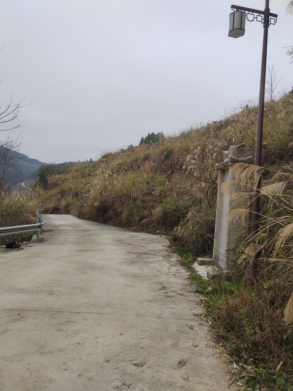 众省义渡旅行图片 2