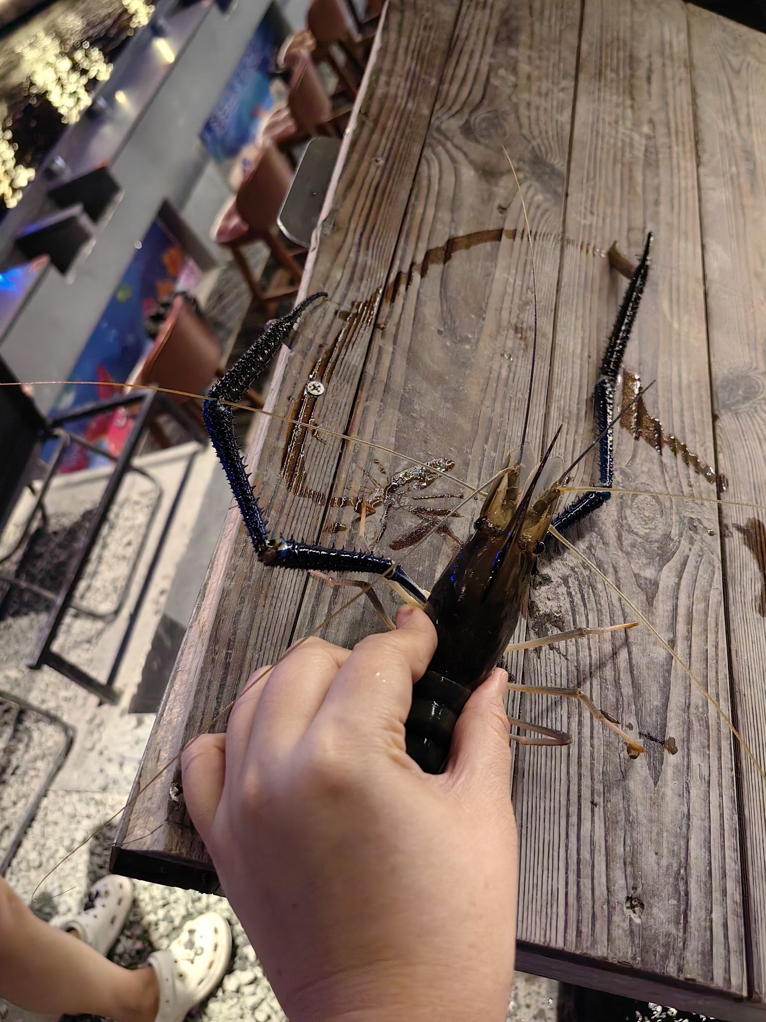 哇虾虾-钓虾游乐场