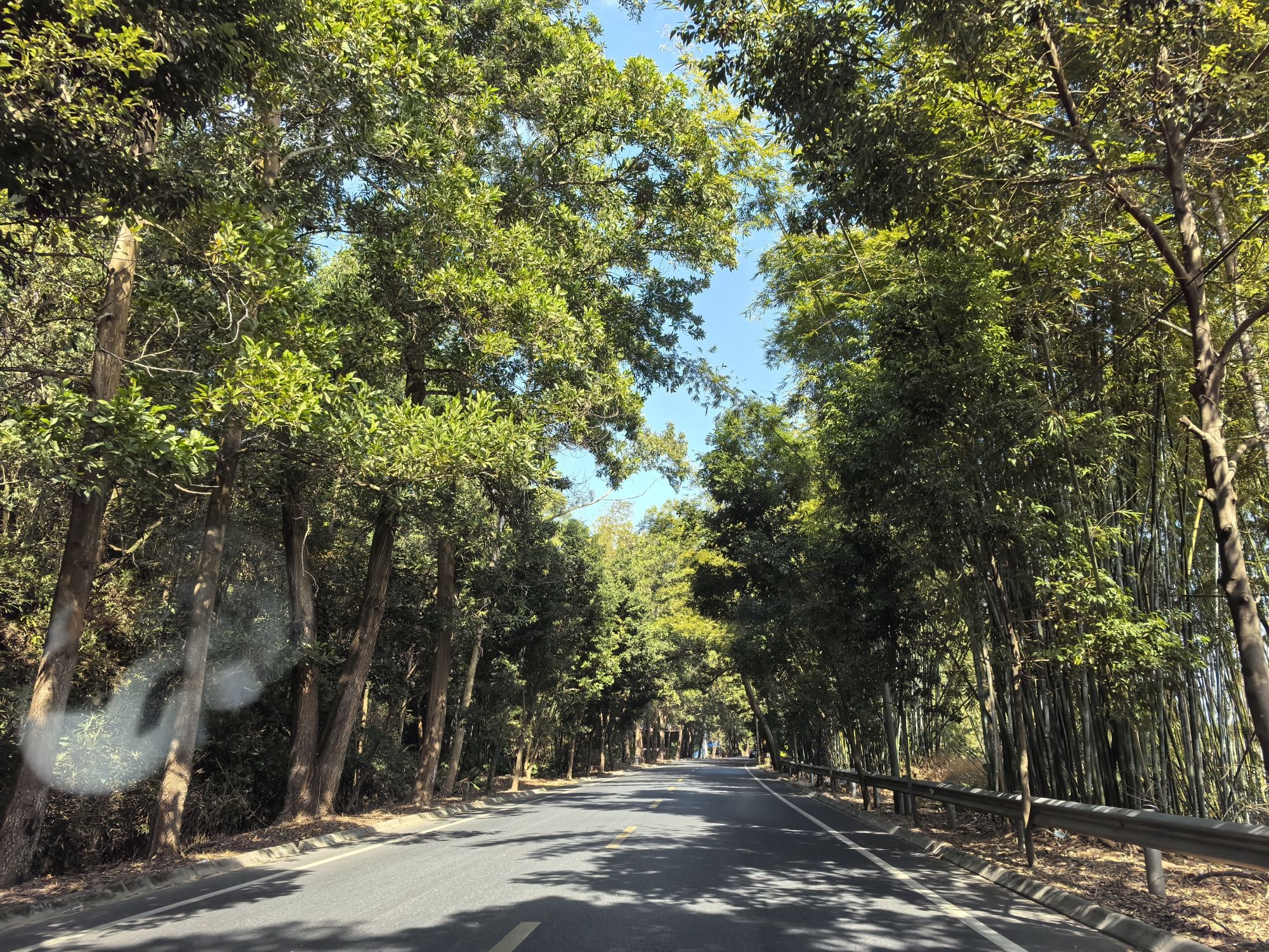 赤寨村红色乡村主题公园旅行图片 1