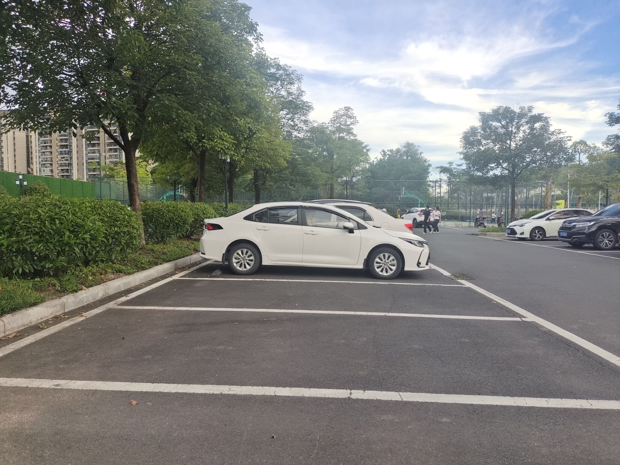 忠信人民公园旅行图片 2