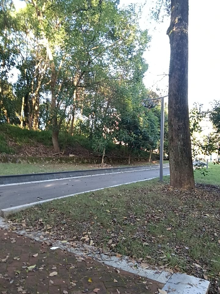 初心公园旅行图片 1
