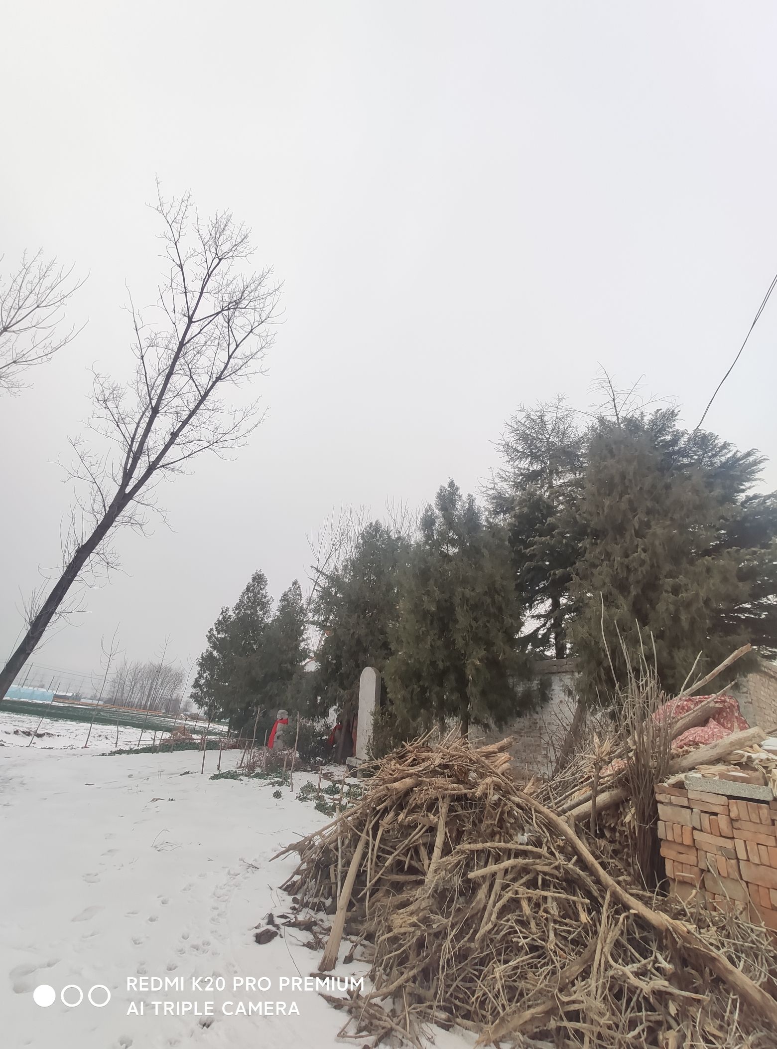 卜氏宗祠旅行图片 2