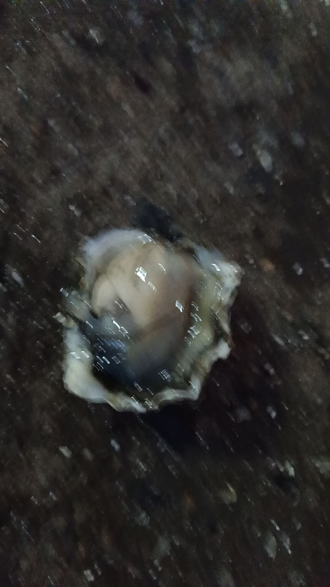 南端暖滩旅行图片 3