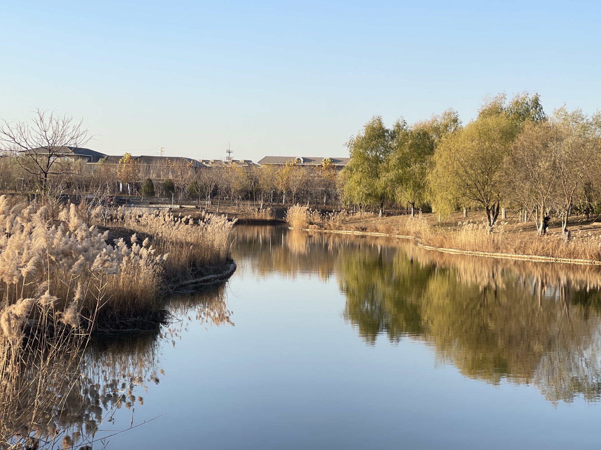 永定公园旅行图片 3