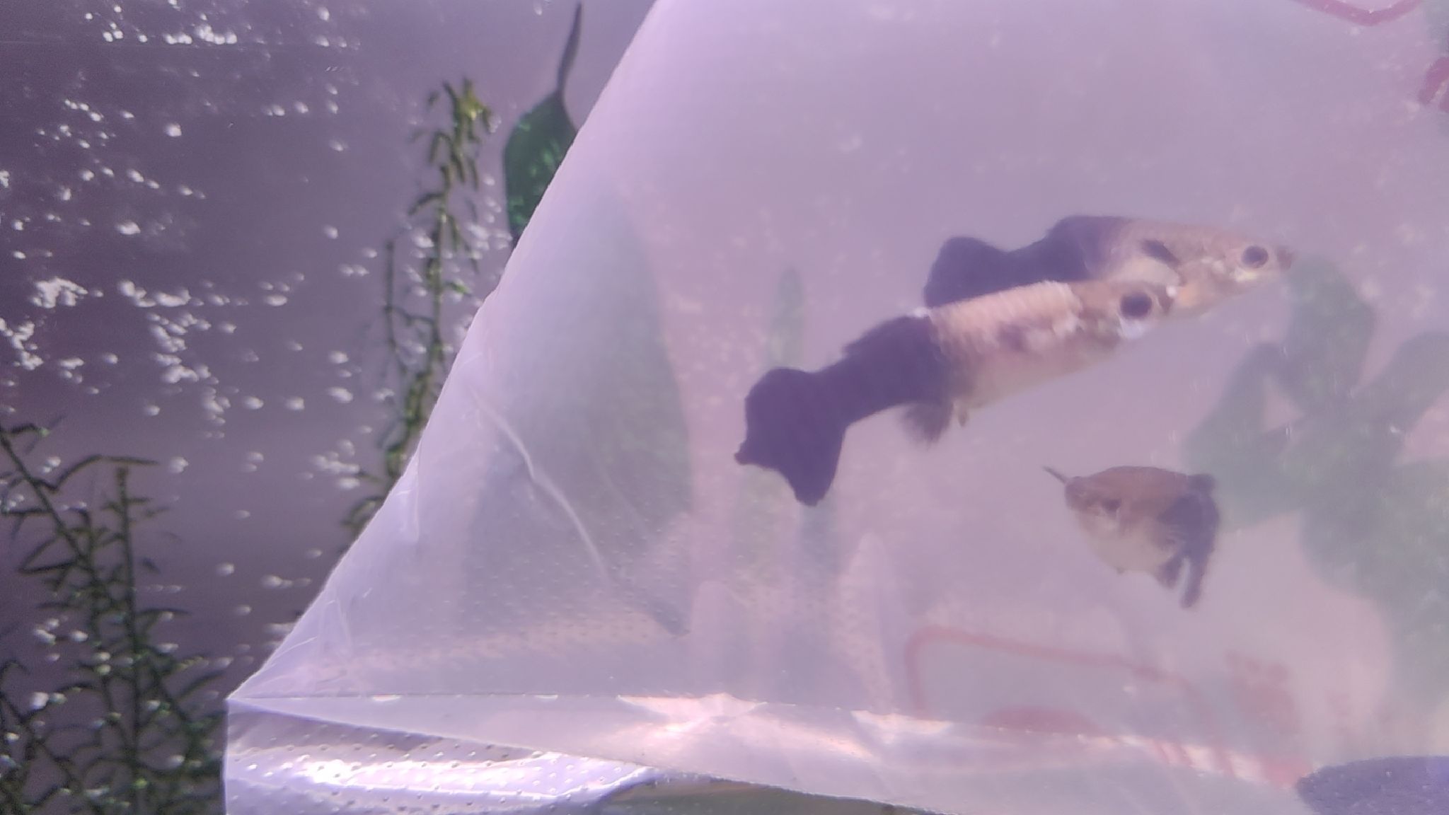 海友水族旅行图片 1