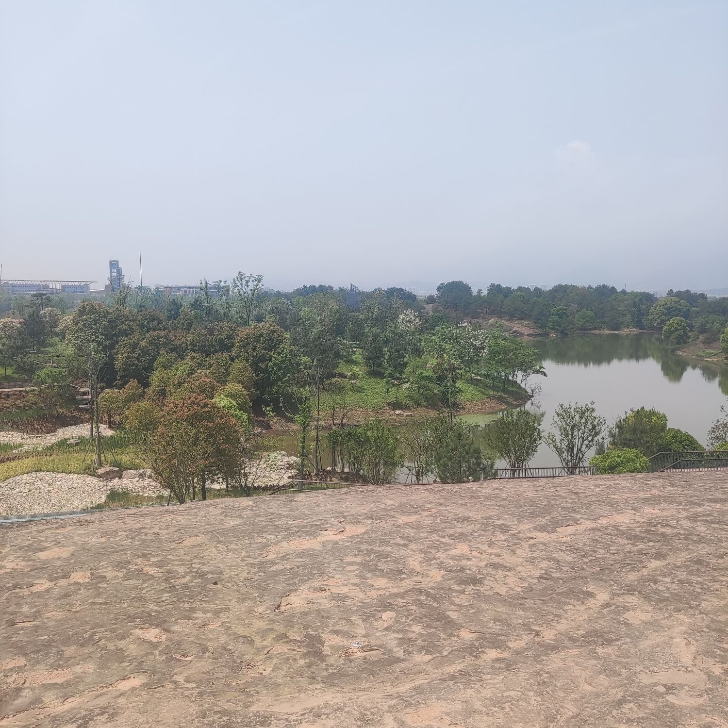 晴翠丘旅行图片 1