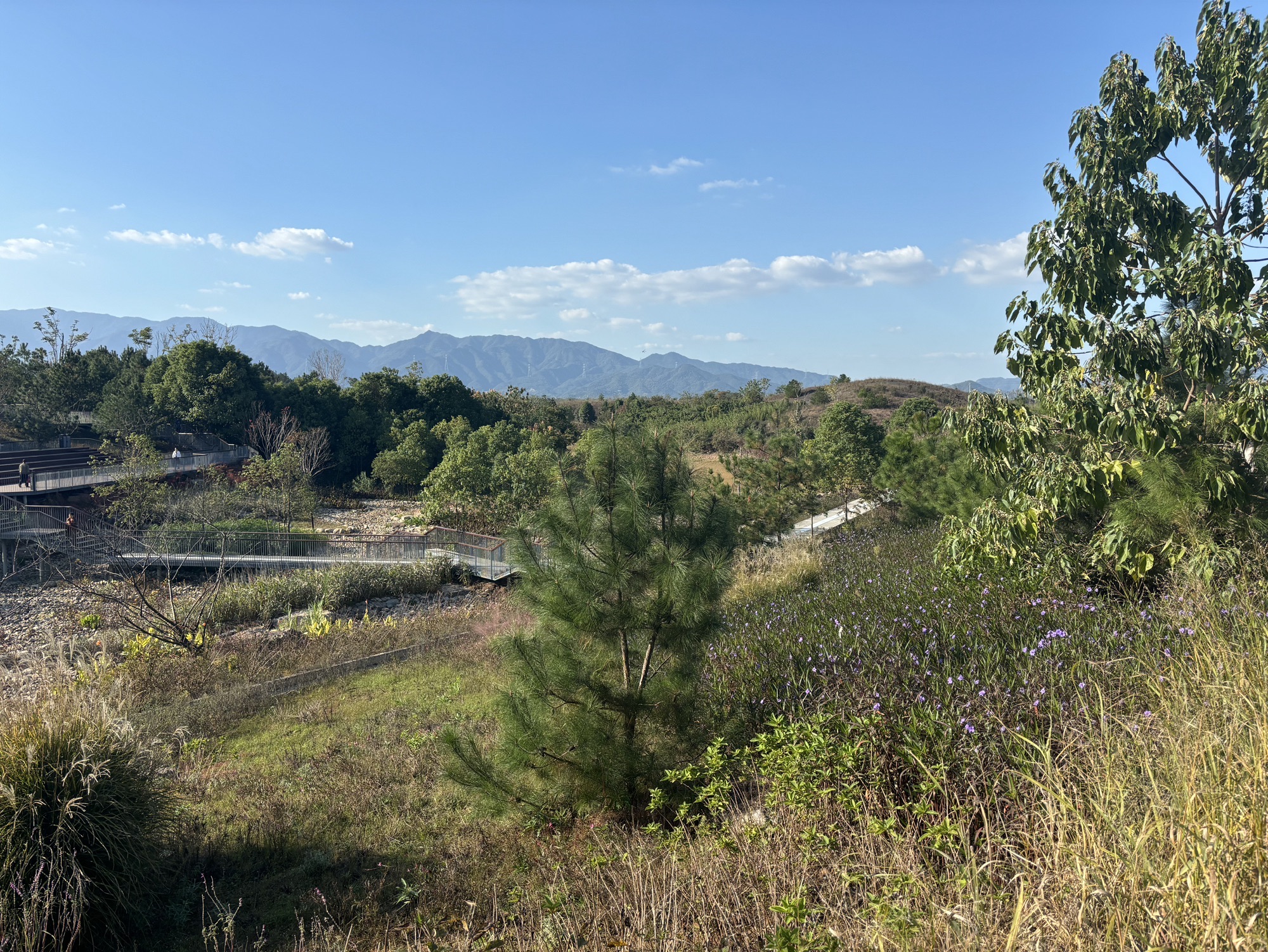 晴翠丘旅行图片 1
