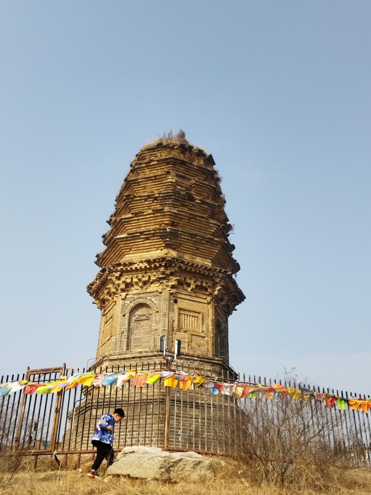 照塔旅行图片 1